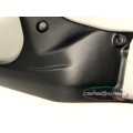 Carbonvani - Ducati Panigale / Streetfighter V4 / S / R Carbon Fiber Frame (Fuel Tank Side) Covers